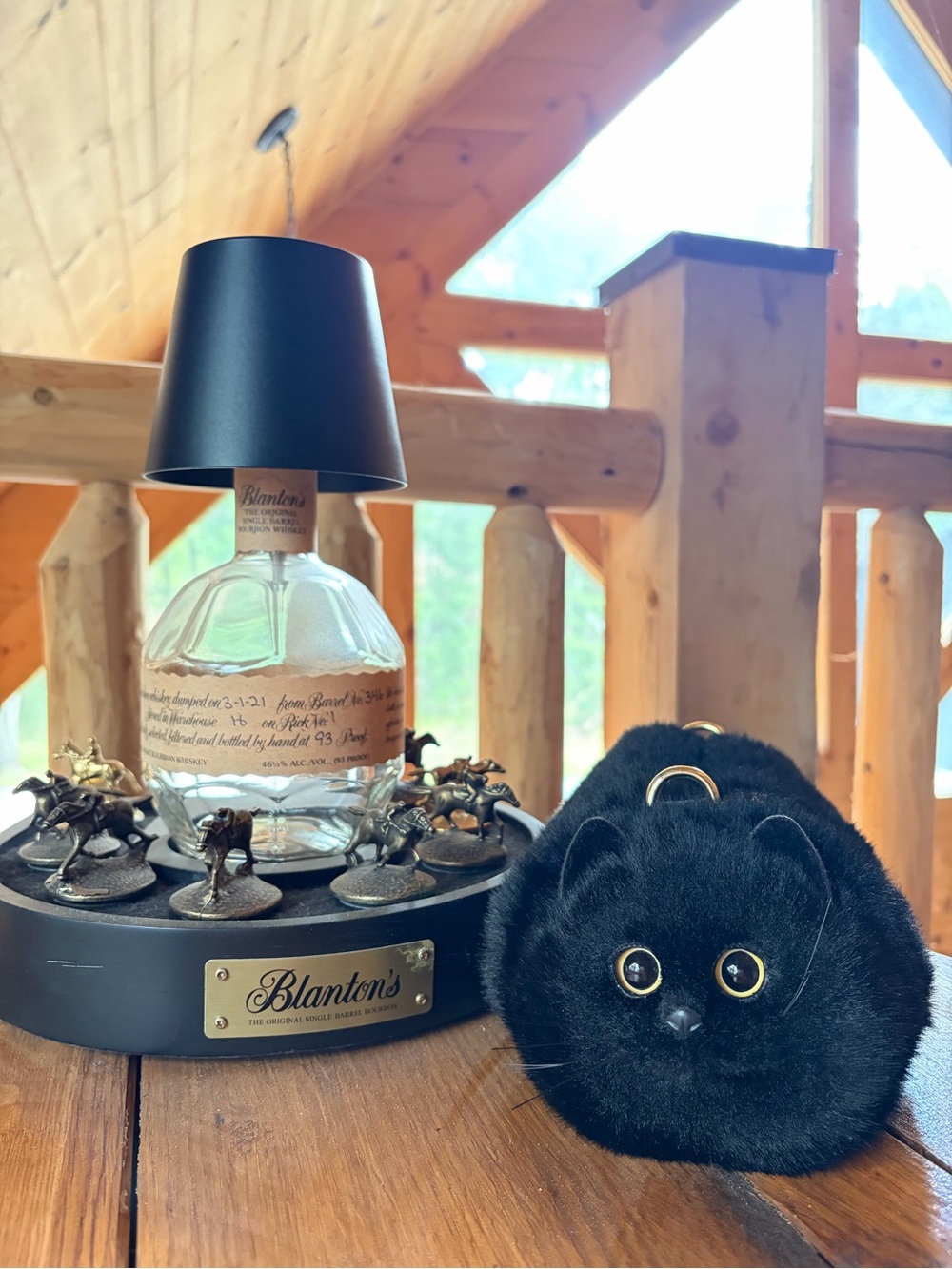 The cutest cat bag ever!